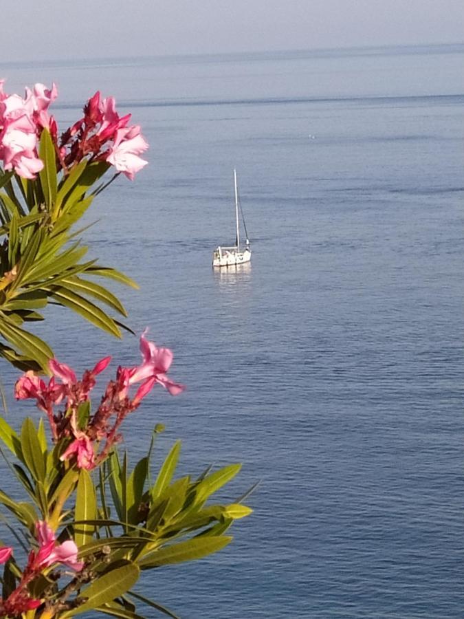 Las Palmeras Almuñécar Eksteriør bilde